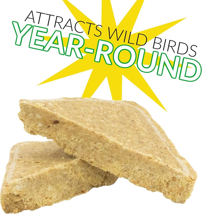 CS Berry Delight No-Melt Suet Dough 11.75 oz - Image 5